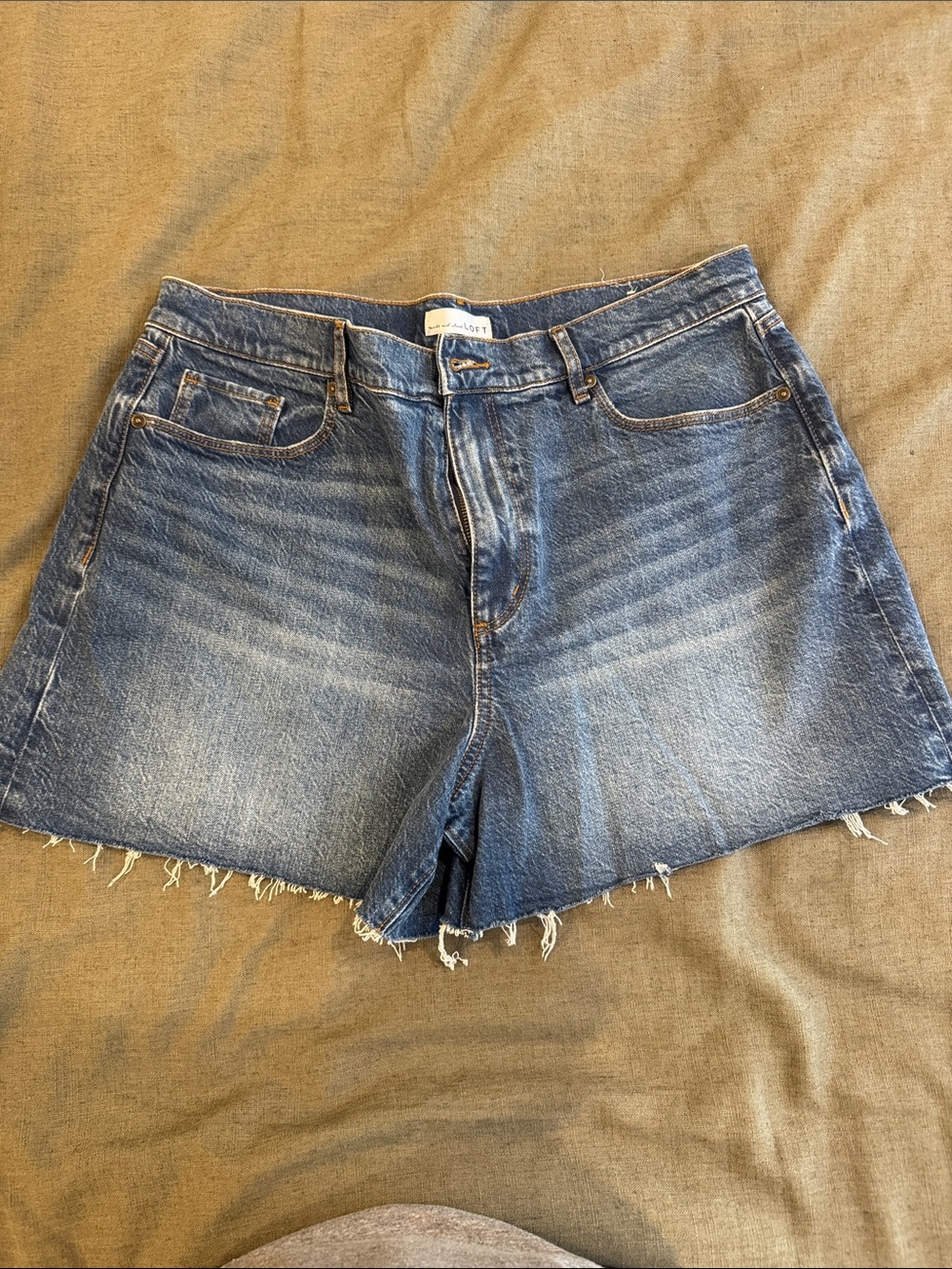 Loft denim cut off shorts. NWOT.